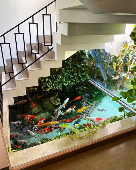 25 Minimalist Koi Pond Ideas For Your House | HomeMydesign Fish Pond Inside House, Pond Inside House, Indoor Koi Pond, Koi Pond Ideas, Indoor Pond, Koi Pond Design, Water Wall Fountain, Amazing Aquariums, Outdoor Ponds