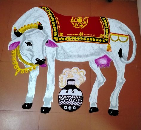 Rangoli to make the maatu pongal special...try it and make your home as the goddess Lakshmi's favourite to visit...#rangoliart #cowrangoli #maatukolam #cowart #cow #sandart Maatu Pongal Kolam, Maatu Pongal, Pongal Designs, Pongal Rangoli, Creative Rangoli, Pongal Kolam, Kolam Design, Rangoli Kolam Designs, Rangoli Kolam