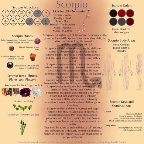 Scorpio Witch, Scorpio Status, Rooted Garden, Scorpio Color, Witchy Astrology, Scorpio Planet, Scorpio Sun Sign, Sun In Scorpio, Scorpio Symbol