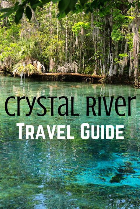 Things to do in Crystal River, Florida Crystal River Florida, Beautiful Florida, Florida Adventures, Florida Life, Florida Springs, Fishing Kayak, Crystal River, Visit Florida, Old Florida