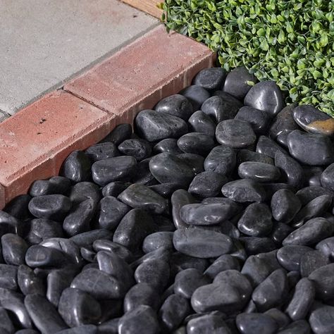 Rain Forest 900-lb Black Polished Pebbles in the Landscaping Rock department at Lowes.com Black Rock Flower Beds, Black Rock Landscaping, Black River Rock, Rock Flower Beds, Pebble Landscaping, Landscaping Rock, River Pebbles, River Rock Landscaping, Stone Landscaping