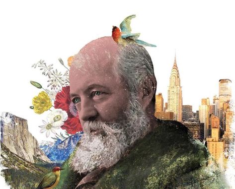 Frederick Law Olmsted, United States History, Line Sketch, Smart City, City Design, Park City, Central Park, Landscape Architecture, The Public