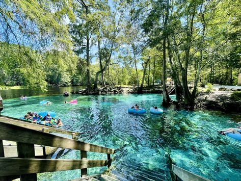 Indian River Lagoon, Beautiful Florida, Dry Tortugas National Park, Florida Panhandle, Vacation Activities, Treasure Coast, Everglades National Park, Kayak Trip, Miramar Beach