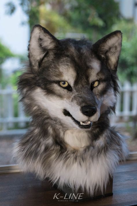 Realistic Wolf Fursuit, Semi Realistic Fursuit, Rat Fursuit, Realistic Wolf Mask, Realistic Fursuit, Wolf Fursuit, Werewolf Costume, Camping With Cats, Wild Outfits