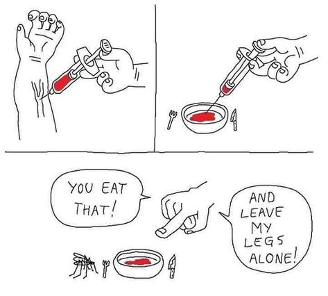 Mackenzie Kwak -Parasitologist en Instagram: “#parasite #parasites #parasitic #parasitology #parasitologist #parasitememes #memedreams #disgnosticparasitology #vetstudents #vetscience…” Mosquito Meme, Haidar Ali, Groucho Marx, Meme Page, Funny Picture, Memes Humor, Best Funny Pictures, Comic Strip, Best Memes