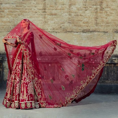 Wedding Guest Outfit Ideas, Ali Xeeshan, Bride Photos Poses, Latest Bridal Lehenga, Desi Wedding Dresses, Red Wedding Dress, Asian Bridal Dresses, Bridal Hair Buns, Bridal Lehenga Red