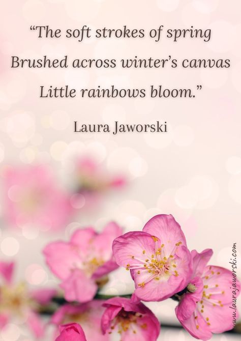 The Soft Strokes of Spring by Laura Jaworski (@bugburrypond) 🌸 Laura Jaworski, Spring Quotes, Writers And Poets, Quote Pins, Sharing Quotes, Gratitude Quotes, Love To Shop, Inspiring Quotes, Positive Thoughts