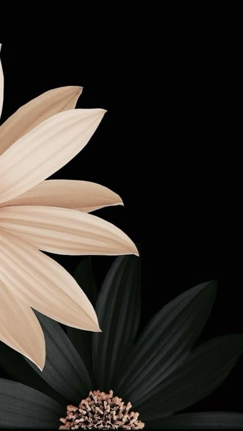 Wallpaper Disney, Flower Black, Trendy Flowers, Flower Background Wallpaper, Flower Phone Wallpaper, Wallpaper Phone, Iphone Background Wallpaper, Cellphone Wallpaper, Flower Backgrounds