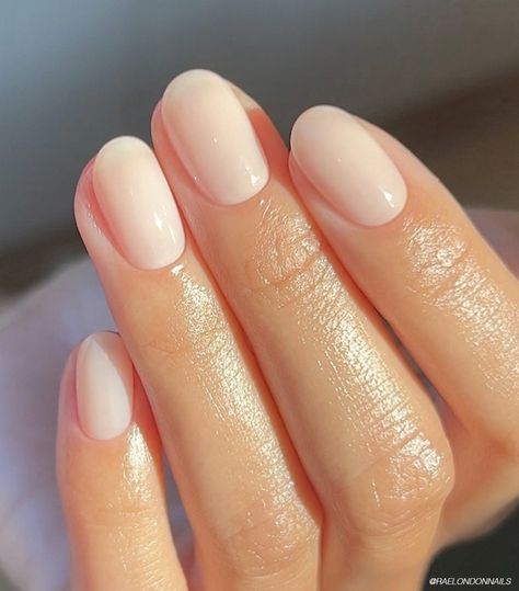 Clean French Manicure, Best Nude Gel Nail Polish, Naked French Manicure, Soap Nails 2024, Sns French Manicure, Natural Manicure Ideas, Milky Nail Polish, Soap Nails, Point Nails