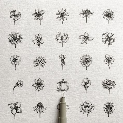 Alice on Instagram: “▫️ 24 flowers + 1 ▫️ . 24 tiny flowers + 1: discover the outsider🖤 . A little clue: 🖊 🎃 . Slide for more: the flowers’ name, some closeup,…” Micron Pen Art, Botanical Line Drawing, Pen Art Drawings, Unique Drawings, Floral Drawing, A Pen, Botanical Drawings, Ink Pen, Love Drawings