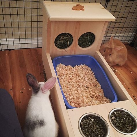 Bunny Rabbit Hay Feeder With Built in Litter by BunnyRabbitToys Bunny Litter Box, Rabbit Feeder, Rabbit Hay Feeder, Rabbit Feeding, Rabbit Litter, Rabbit Litter Box, Bunny Hutch, Rabbit Hay, Rabbit Bedding