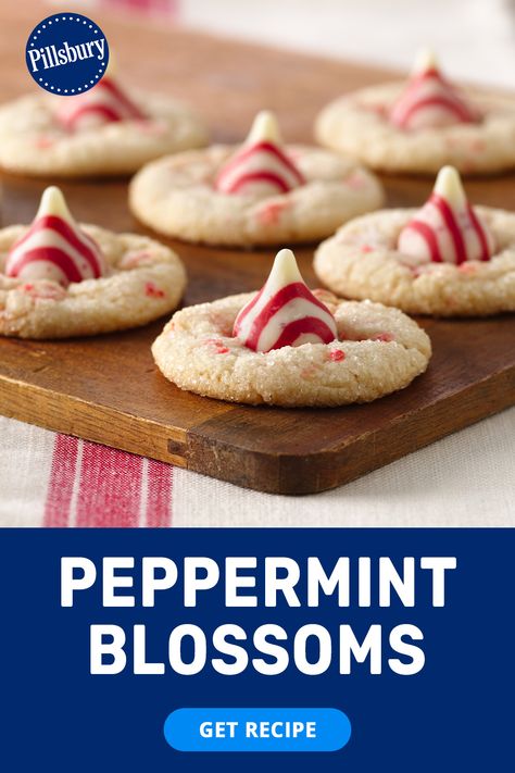 peppermint cookies, peppermint cookie recipes, white chocolate peppermint cookies, hershey kiss cookies, kiss cookies, christmas cookies for kids, easy cookies, easy christmas cookies Christmas Cookies With Pillsbury Dough, Peppermint Crunch Sugar Cookies, Easy Christmas Cookies Peppermint, Easy Chocolate Peppermint Cookies, Christmas Cookies Chocolate Peppermint, Christmas Cookies Peppermint Chocolate, Pillsbury Cookie Dough, Pillsbury Sugar Cookie Dough, Peppermint Cookie Recipe