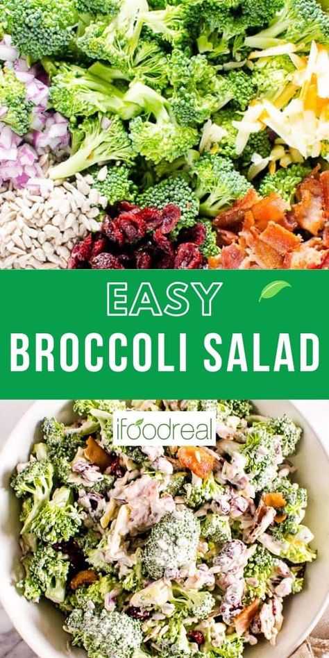 The Best Broccoli Salad combines fresh broccoli, crispy bacon, dried cranberries, sunflower seeds, shredded cheese and creamy dressing. This easy salad is the best of both worlds – healthier and flavorful. Best Broccoli Salad, Best Broccoli Salad Recipe, Buffalo Chicken Pasta Salad, The Best Broccoli, Easy Broccoli Salad, Healthy Broccoli Salad, Best Broccoli, Menu Sarapan Sehat, Healthy Broccoli