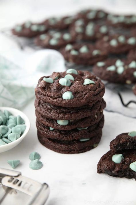 Chewy Chocolate Mint Cookies, Mint Fudge Cookies, Mint Chocolate Chip Recipes, Mint Chocolate Chip Snowball Cookies, Chocolate Mint Recipes, Green Sugar Cookies, Chocolate Mint Chip Cookies, St Patricks Day Treats, Mint Meltaways