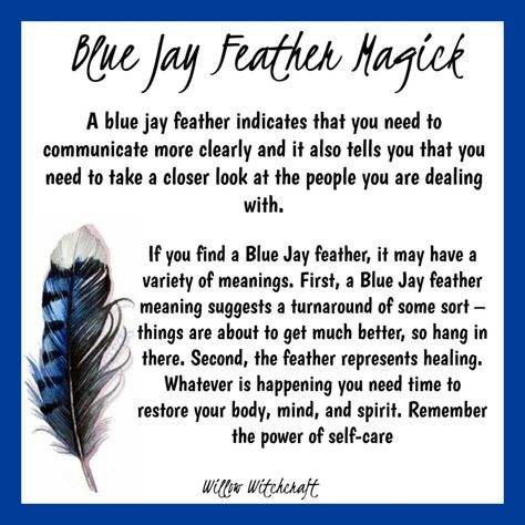 Feather Color Meaning, Feather Magic, Finding Feathers, Blue Jay Feather, Feather Signs, Feather Meaning, Bird Magic, Spirit Animal Meaning, Jay Feather