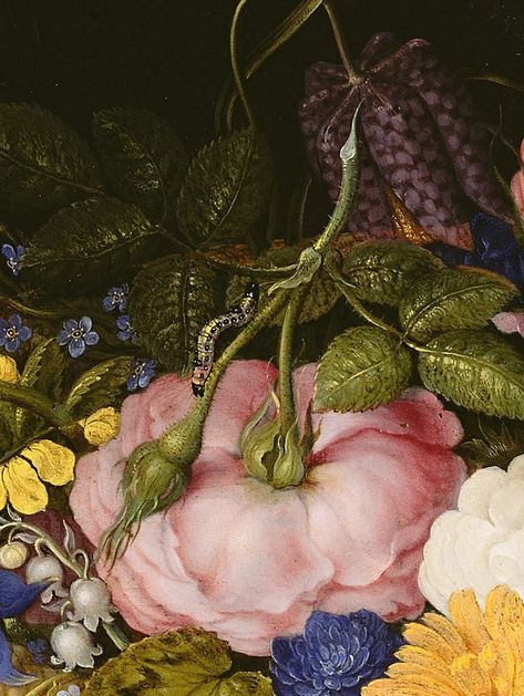 Ambrosius Bosschaert the Elder,1614 Ambrosius Bosschaert, Fairy Fruit, Enchanted Flowers, Botany Illustration, Flower Puzzles, Flowers And Fruit, Poetry Art, Floral Oil Paintings, Fruit Art