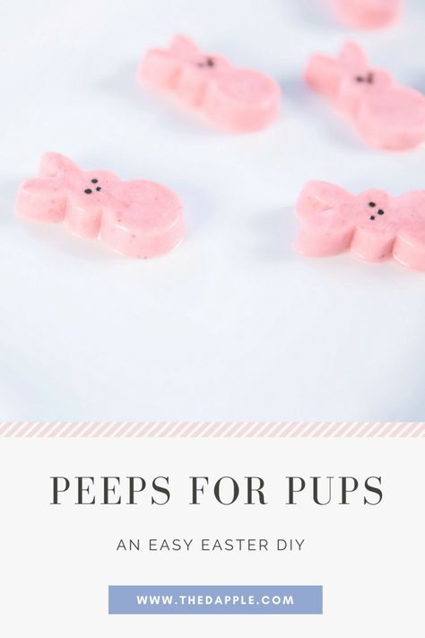 Fancy Dog Treat Recipes, Macaroons For Dogs, Easter Dog Treats, Dog Treats Homemade Easy, Easy Dog Treat Recipes, Frozen Dog Treats, Gourmet Dog Treats, Easy Dog Treats, Easter Dog