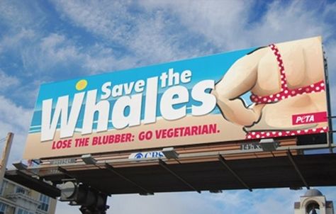 The 12 Worst PETA Ads Of All Time Bad Advertisements, Save The Whales, Going Vegetarian, Media Literacy, Street Marketing, Guerilla Marketing, Body Image, Ad Campaign, Whales