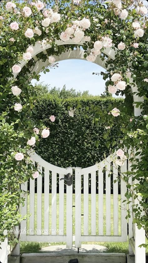 Rose Pergola, Rose Pergola Ideas, Cottage Garden Archway, Climbing Rose On Fence, Fairytale Home, Simple Garden, Garden Arch Over Bench, Small Secret Garden Ideas, Rose Garden Arch