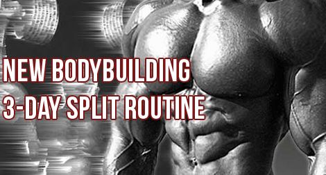 3 Day Muscle Building Workout, 5 Day Split Workout Men, 5 Day Gym Workout Plan Men, 3 Day Split Workout Men, 6 Day Workout Split Men, 4 Day Split Workout Men, 3 Day Split, 3 Day Split Workout, 3 Day Workout Routine