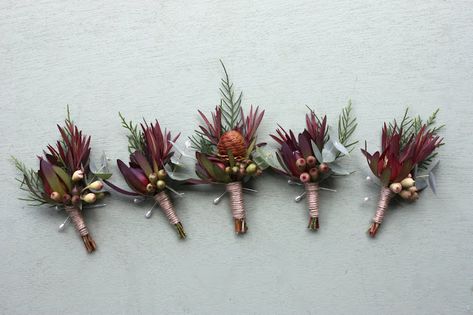 Swallows Nest Farm: February Wedding at Sisters Beach Australian Native Buttonhole, Simple Native Bouquet, Native Buttonhole, Australian Native Bridesmaid Bouquet, Small Native Bouquet, Buttonhole Flowers, Button Holes Wedding, February Wedding, January Wedding