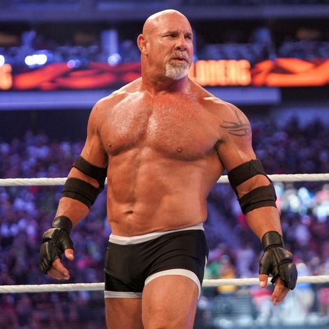 Aj Styles Tna, Goldberg Wwe, Akshay Kumar Photoshoot, Bill Goldberg, Bobby Lashley, Bret Hart, Shiny Jacket, Wwe Legends, Beefy Men