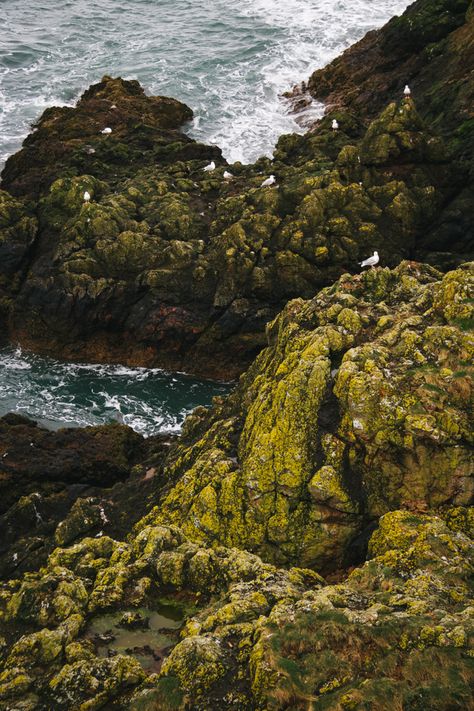 cliffside village in east lothian, scotland Cliffside Village, New Asgard, Sea Cliff, Scotland, Water