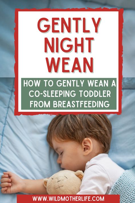 How To Wean Toddler From Breastfeeding, How To Stop Breastfeeding A Toddler, How To Wean Baby From Breastfeeding, Cosleeping Toddler, Mommy Problems, Breastfeeding Weaning, Weaning Breastfeeding, Weaning Toddler, Toddler Bottles