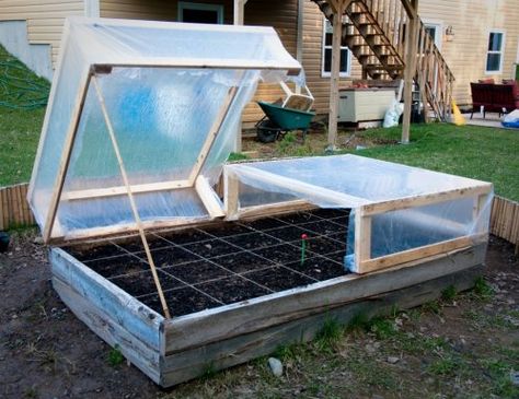 DIY Raised bed cold frames. Good concept, example shown is too wide to service center square feet when the frames are installed for the winter. (Rule of thumb says, "Never have to reach further than 2 ft. into a raised bed which makes four feet the widest span with access from both sides; 2 ft. the widest span if the raised bed is against a wall or obstruction or has a hinged cover mounted on one edge.) Diy Cold Frame, Serre Diy, Cold Frame Plans, Cold Frame Diy, Cold Frames, Small Greenhouse, Garden Area, Diy Greenhouse, Veg Garden