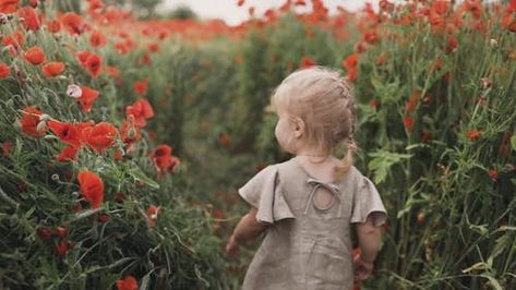 Girl Walking, Poppy Flowers, Poppy Field, Red Poppy, Free Stock Video, Baby Life, Editing Service, Poppy Flower, Belarus