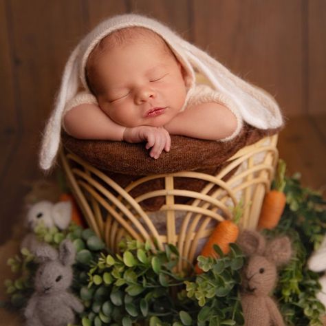 Newborn Bunny Outfit, Baby Easter Pictures, Newborn Easter, Easter Pictures, Studio Session, Cute Easter Bunny, Bunny Outfit, Newborn Shoot, Blue Backdrops