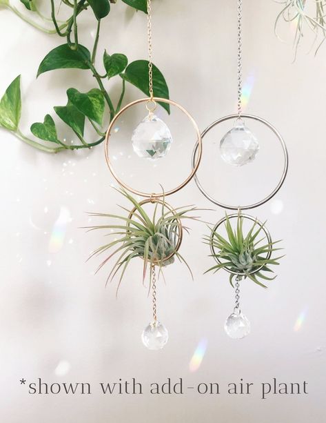 Aria Gold Suncatcher Air Plant Hanger Crystal Suncatcher - Etsy Cute Air Plant Holders, Crystal Air Plant Holder, Air Plant Suncatcher, Hanging Air Plant Display Ideas, Hanging Crystals Diy, Air Plant Art, Clay Trinkets, Driftwood Seahorse, Air Fern