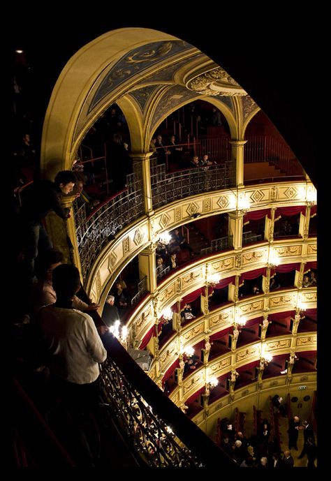 Theatre Academia, A Night At The Opera, Trieste, Phantom Of The Opera, Old Money Aesthetic, Concert Hall, The Stage, Eiffel Tower Inside, Classical Music