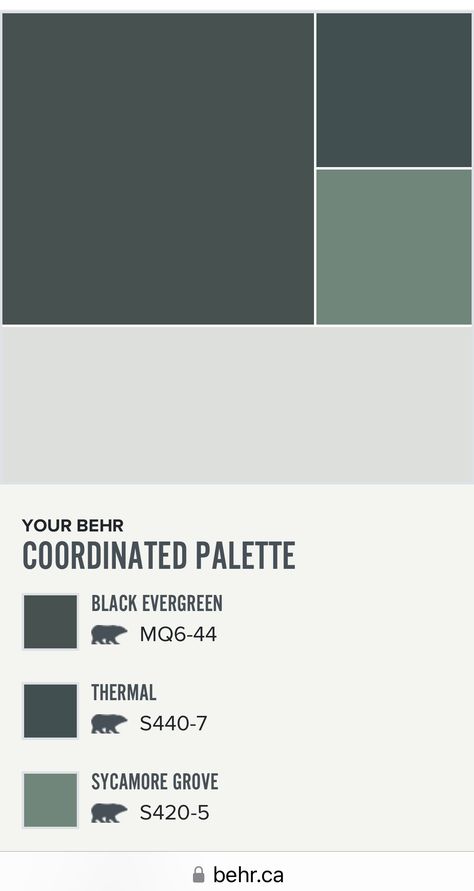 Thermal Behr Paint, Behr Thermal Paint Color, Behr Thermal, Thermal Paint, Dining Inspiration, Furniture Flip, Behr Paint, Living Ideas, Kids Bath