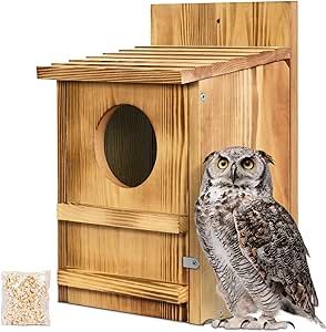 Owl Boxes, Bird Activities, Owl Nest Box, Owl Box, Saw Whet Owl, Wood Shavings, Bird Box, Screech Owl, Wooden Owl