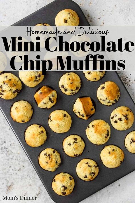 These Mini Chocolate Chip Muffins are 100% picky eater approved! They are easy to make and are the perfect grab and go snack for kids. Best Chocolate Chip Muffins, Buns Recipe Easy, Cooking With Kids Easy, Choc Chip Muffins, Mini Chocolate Chip Muffins, Breads Recipes, Blueberry Scones Recipe, Chocolate Chip Muffin, Baking Recipes For Kids