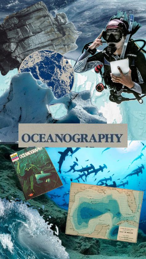 Oceanography Marine Biology, Marine Biologist, Mysterious Places, Oceanography, Marine Biology, Gulf Of Mexico, Ocean Life, Dream Job, Science And Nature