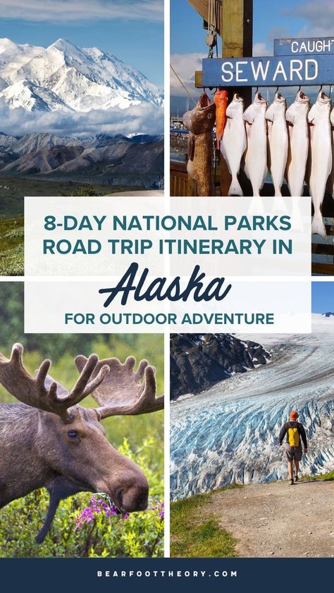 National Parks Road Trip, Alaska Road Trip, Alaska National Parks, Alaska Wildlife, Alaska Adventures, Visit Alaska, Board Pictures, Alaska Vacation, Kenai Fjords