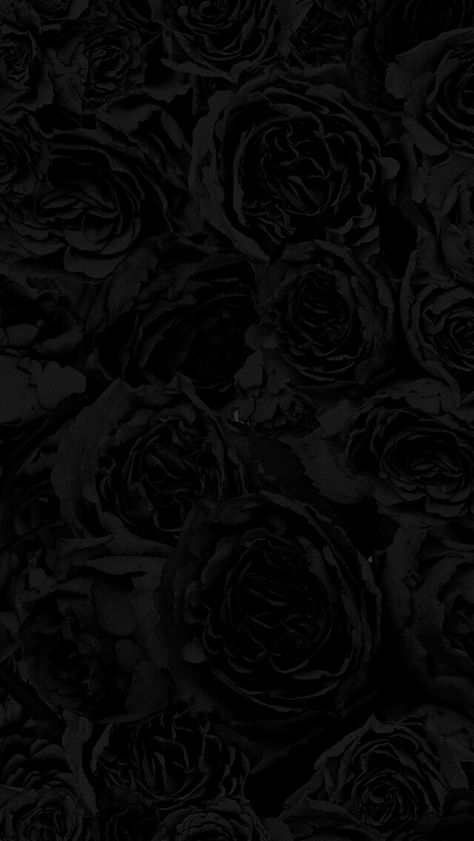 Night Wallpapers, Rose Dark, Gothic Wallpaper, Black Inspiration, Black Background Wallpaper, Wallpaper Accent Wall, Black Wallpaper Iphone, Beautiful Dark Art, Black Aesthetic Wallpaper