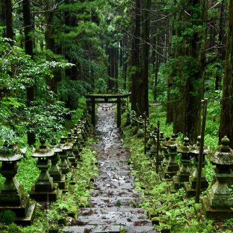 Kumamoto, Japan | Ascending the Stairway to Heaven at the Enigmatic Kamishikimi Kumanoimasu Shrine 上色見熊野座神社 Japanese Countryside, Yakushima, Travel Post, Kumamoto, Japan Aesthetic, Kyushu, Go Hiking, Stairway To Heaven, Rural Landscape