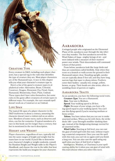 Dnd 5e Monsters, Aarakocra Dnd, Dnd Notes, 5e Monsters, Dnd Things, Winged People, Role Playing, Fantasy Creatures, Gaming