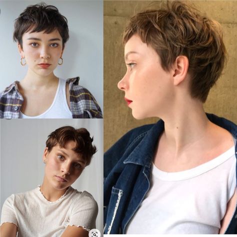 Short Hair Heart Face, Short Hair For Heart Shaped Faces, Fairy Mullet, Alea Aquarius, Hair 2025, Hair Doos, Growing Out Hair, Manic Pixie, Cut Her Hair