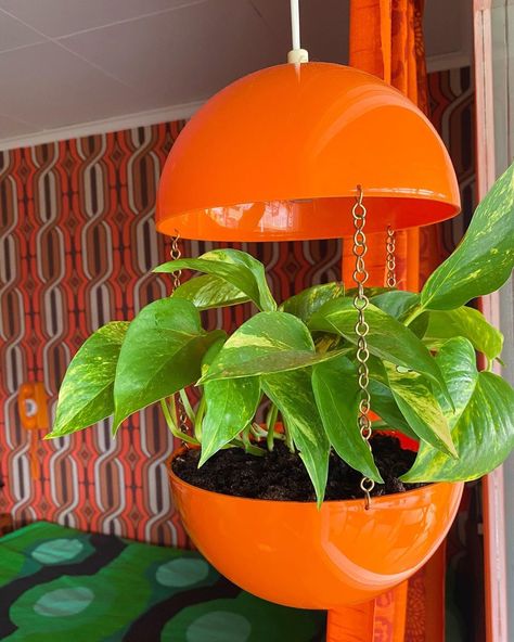 Linda Gyllstål on Instagram: “Finally I found an orange plastic 70s plant hanger 🌱🟠🌱🟠🌱🟠🌱🟠🌱” Landscape Design Garden, Romantic Bedroom Decor, Landscape Designers, Landscape Designs, Romantic Bedroom, House Plants Decor, Design Garden, Garden Landscape, Living Ideas