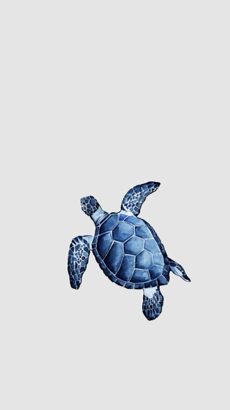 Ocean Art Projects, Turtle Wallpaper, Blue Background Wallpapers, Cute Summer Wallpapers, Ipad Kids, Blue Wallpaper Iphone, Iphone Homescreen Wallpaper, Cute Turtles, Blue Poster