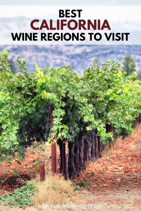 Sonoma County Wineries, California Wineries, Napa Wineries, California Winery, Napa Valley Wineries, Wine Country California, Central California, California Wine, Wine Top