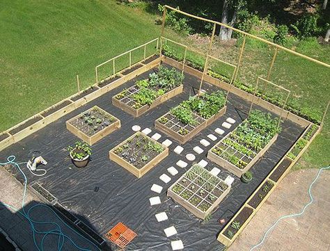 Vegetable Garden Boxes, Box Layout, Farming Tips, Garden Bed Layout, Vegetable Garden Beds, Raised Vegetable Gardens, Small Vegetable Gardens, Garden Layout Vegetable, Vegetable Garden Planning