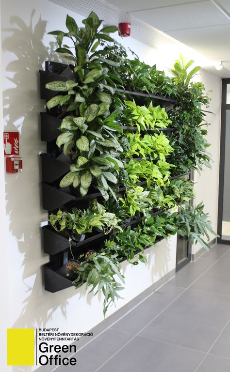 Vertical Green Wall Indoor, House Front Garden, Front Garden Design Ideas, Vertical Plant Wall, Hydroponic Gardening System, Vertikal Garden, Wall Hanging Decorations, Metal Wall Planters, Indoor Plant Wall