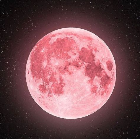 Strawberry Moon, The Moon Is Beautiful, The Moon, Moon, Instagram Photos, Pink, On Instagram, Instagram