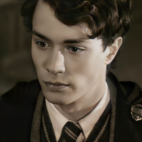 Lord Voldemort Tom Riddle, Riddle Harry Potter, Slytherin Funny, Harry Potter Riddles, Young Tom Riddle, Christian Coulson, Nero Dmc, Tom Marvolo Riddle, Tom Hughes