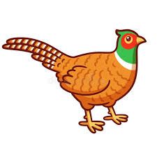 Pheasant Drawing Stock Illustrations – 1,244 Pheasant Drawing Stock Illustrations, Vectors & Clipart - Dreamstime Pheasant Drawing Easy, Pheasant Drawing, Pheasant Tattoo, Peace Poles, Bird Logo, Cartoon Birds, Infinity Mirror, Engraving Illustration, Bird Logos